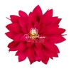 Dalia Pin03