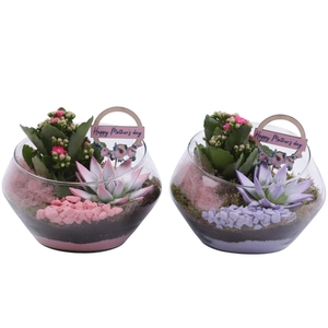 Mothersday Arr. Indoor Glass Oblique UFO Vase Ø20cm 2PP