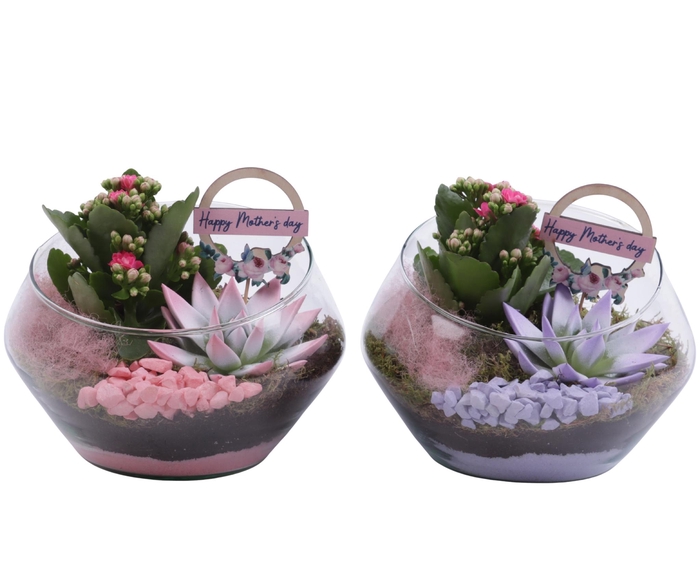 <h4>Mothersday Arr. Indoor Glass Oblique UFO Vase Ø20cm 2PP</h4>