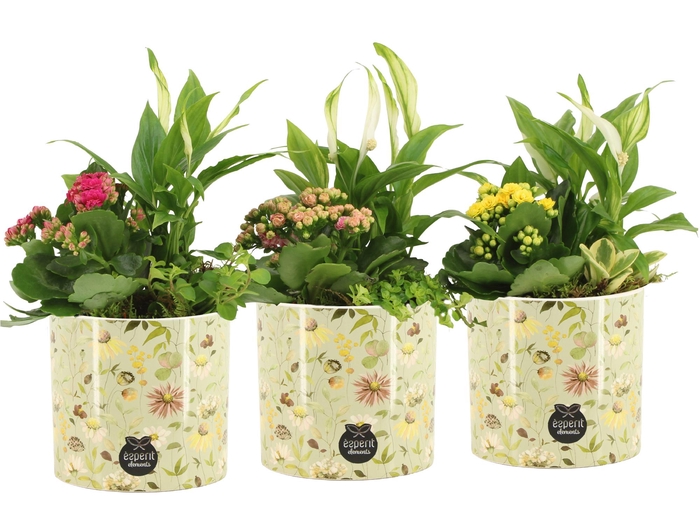 <h4>11692: Consideration arrangement</h4>