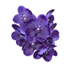 FLOR DE VANDA ROXO
