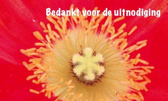 BLOEMENKAARTJE - Bedankt voor de uitnodiging - 9*5,5cm - 50pcs