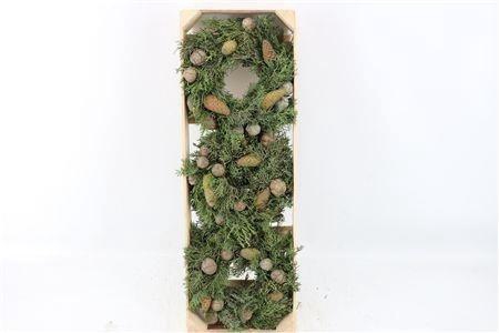 <h4>SIERFRUIT KRANS H%</h4>