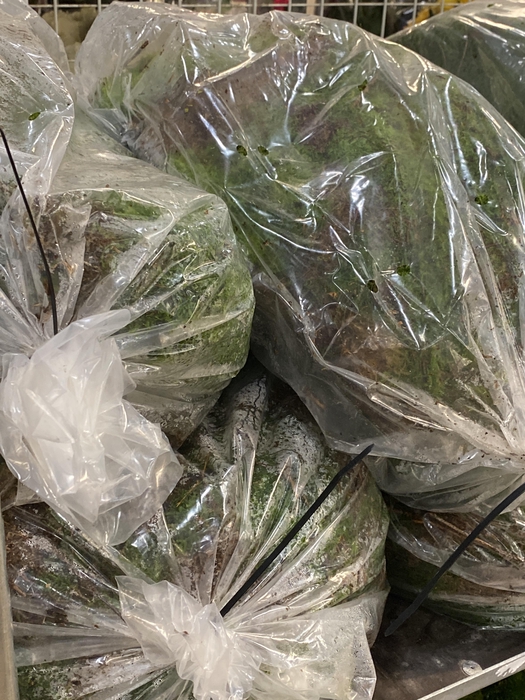 <h4>Skov mos i pose - ca. 1,20 m²</h4>