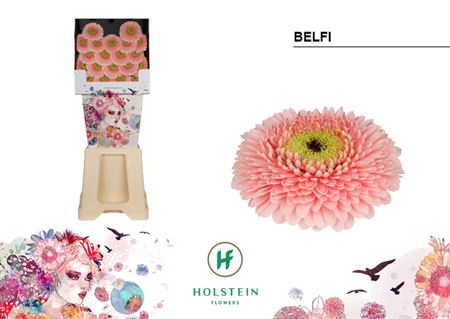 <h4>Ge Bv Diamond Gerponi Belfi</h4>