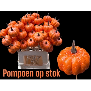 Huis en tuindecoratie overig H%