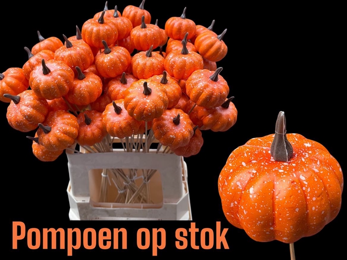 <h4>Huis en tuindecoratie overig H%</h4>