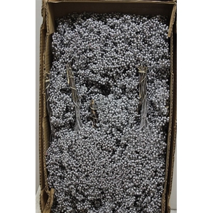 Dried Pepperberries Silver