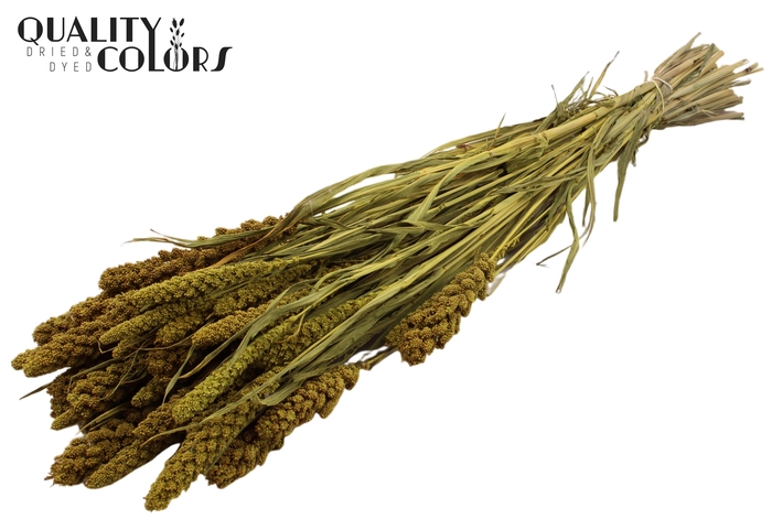 <h4>Gierst per bunch Yellow</h4>