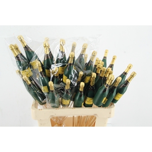 Stick Champagne 13cm Green