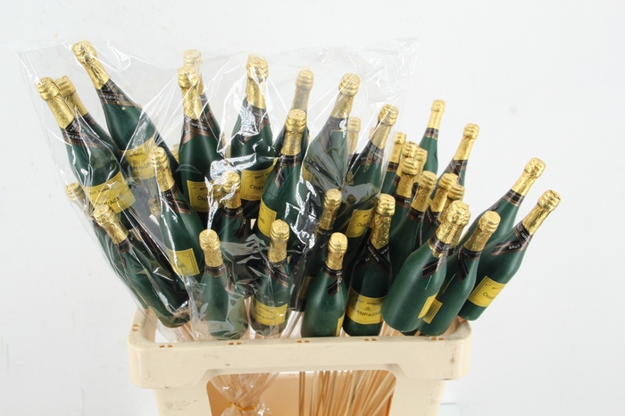 <h4>Stick Champagne 13cm Green</h4>