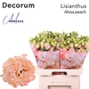 Lisianthus Alissa peach 70cm