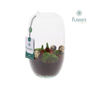 Green Bottle Isabella Medium Pasen met Tulpen