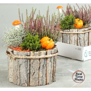 ARR TUINPLANTEN