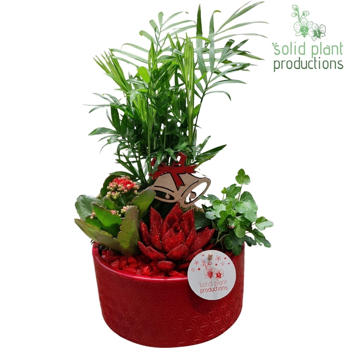 <h4>CE003 Loes Red</h4>