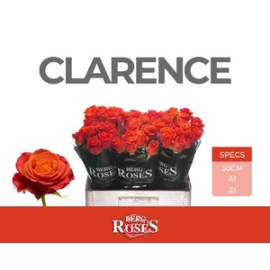 Rozen R GR Clarence