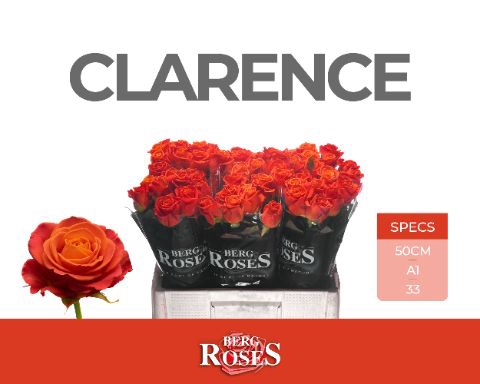 <h4>Rozen R GR Clarence</h4>