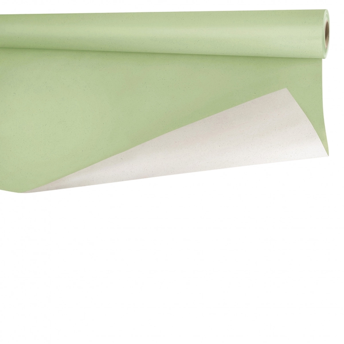 <h4>Rol 80cm 40m 80g Biet</h4>