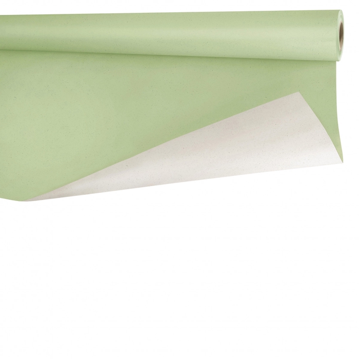 <h4>Papier Rol 80cm 40m 80g Biet</h4>