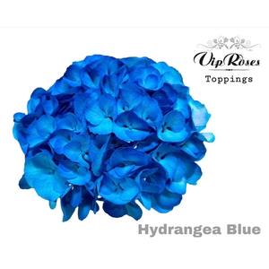 HYDR M BLUE 60CM