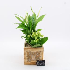 ESCR-2609W Essentials