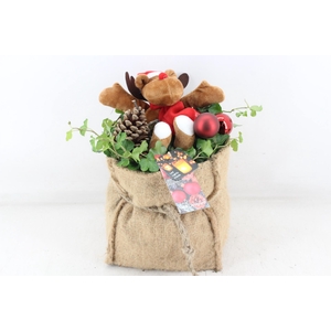 arr2 MB - Jute tas XL hed. led beer