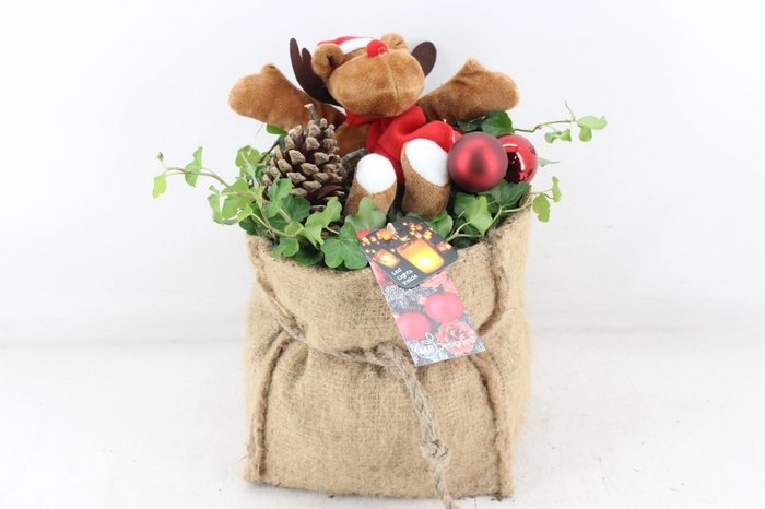 <h4>arr2 MB - Jute tas XL hed. led beer</h4>