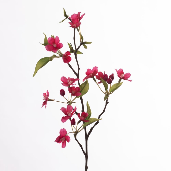 <h4>AF Apple Blossom L58cm D.Pink</h4>