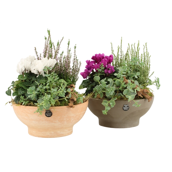 <h4>41458: Autumn Outdoor arrangement</h4>