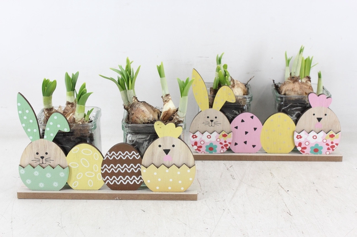 <h4>arr4 Narcis FL - Tray 2pot happy easter</h4>