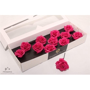 Roos Wax Zijde 9280 M Cerise
