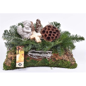 Natuur mos rechthoek 25x15cm