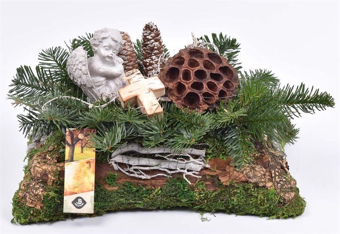 <h4>Natuur mos rechthoek 25x15cm</h4>