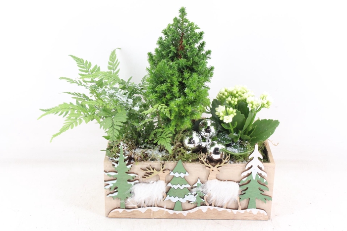 <h4>arr2 JS - Kist kerst print picea</h4>