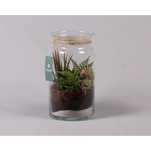 Glas Melkbus met Arrangement