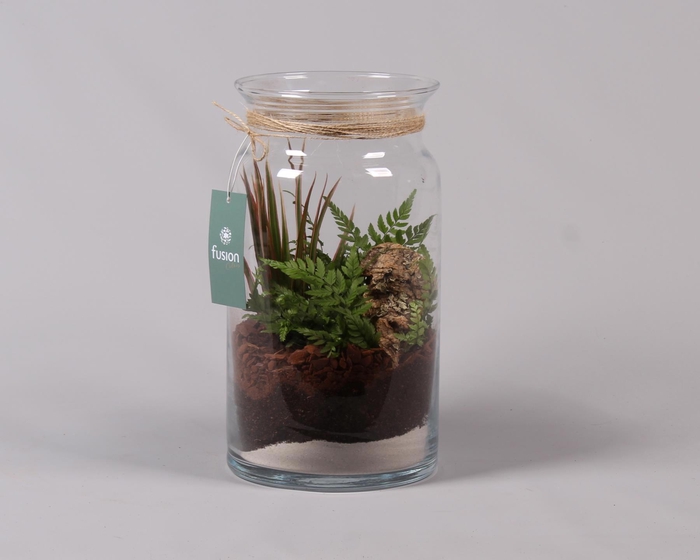 <h4>Glas Melkbus met Arrangement</h4>