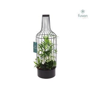 Metaal fles zwart Large met arrangement