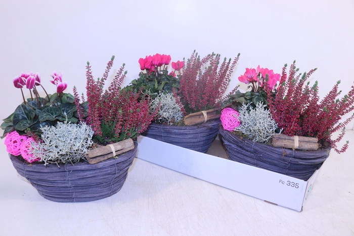 <h4>ARR TUINPLANTEN</h4>