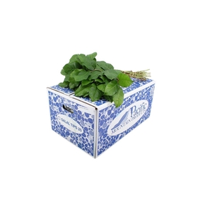 Salal Tips