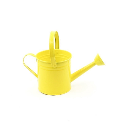 <h4>Zinc Watering can d14.5*14.5cm</h4>