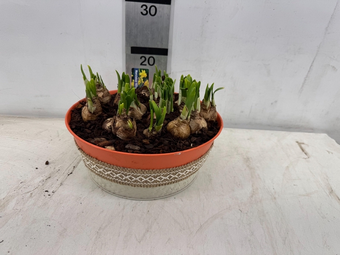 <h4>ARR N TETE A TETE</h4>