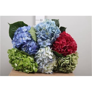 Hydr Premium Dark Mix