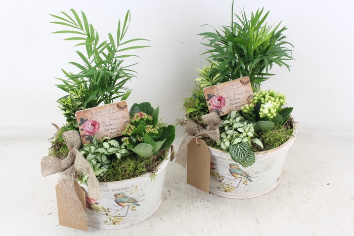 <h4>arr2 TD - Schaal rond bird - roze/wit</h4>