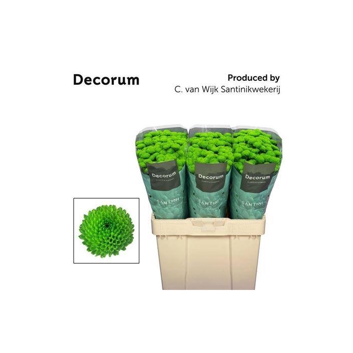 <h4>Chr S Country</h4>