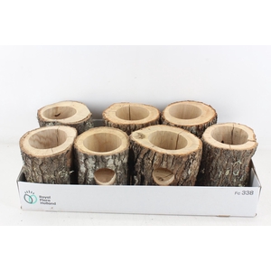 arr3 GB - Eekhoorn pot 338/7