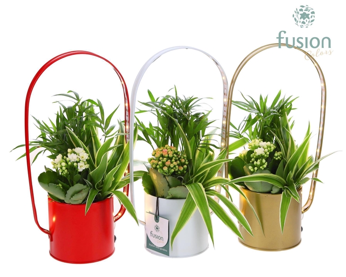 <h4>Led planter zink boog met Arrangement</h4>