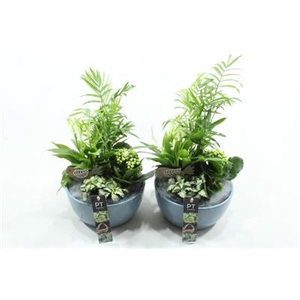 6526 KER BLAUW SPATH