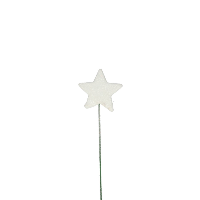 <h4>Kerst Deco ster/drd 40mm x60</h4>
