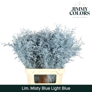 Lim Misty Blue L90 Light blue