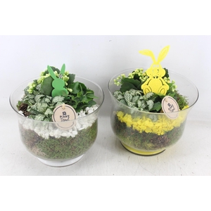 arr2 PL - Glas rio - geel/wit